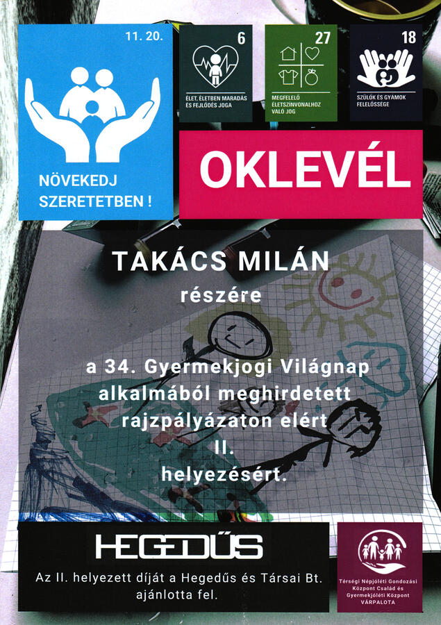 Certificate - Second Place